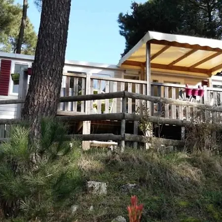 Izicamp Mobil A La Palmyre *